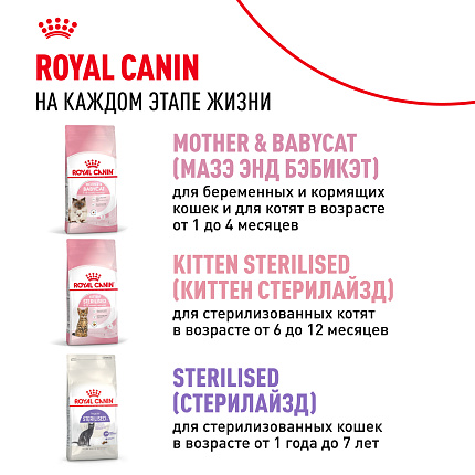 Сухой корм Royal Canin Kitten для котят до 12 месяцев 4 кг